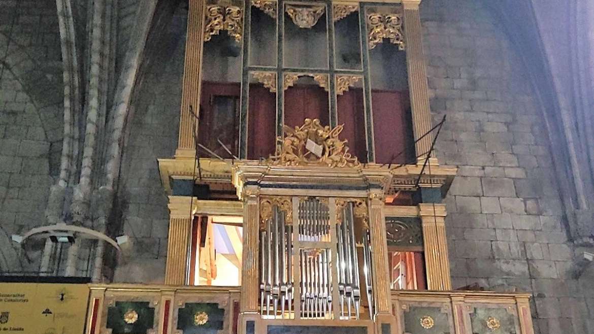 Un orgue per la primavera!!