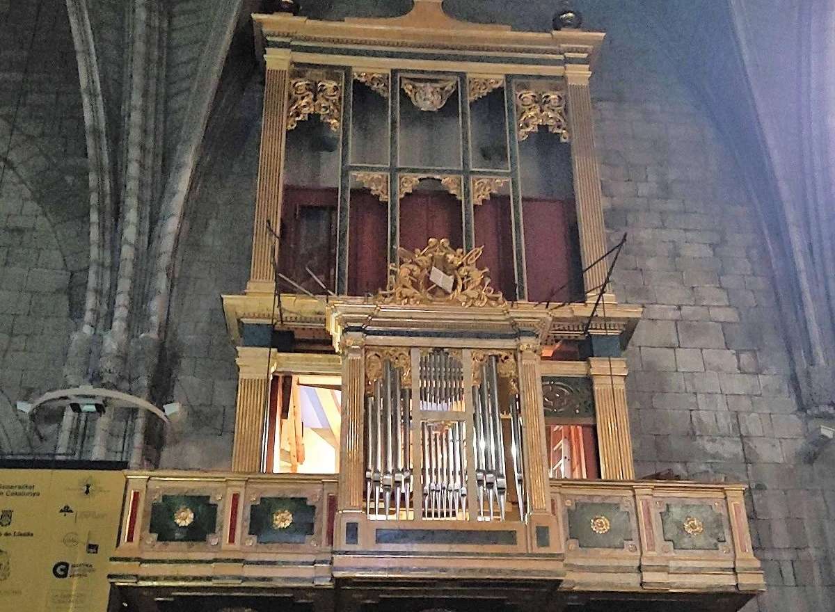 Un orgue per la primavera!!