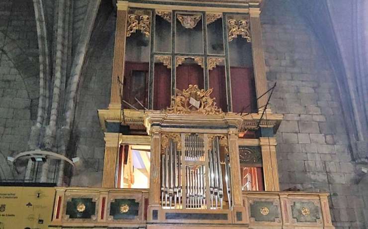 Un orgue per la primavera!!